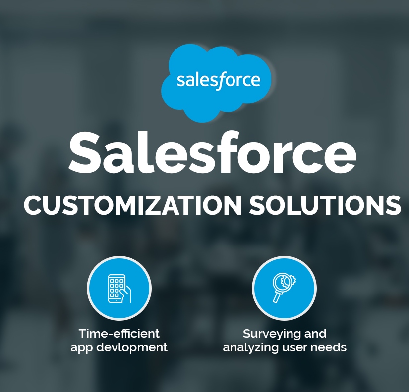Salesforce Customization